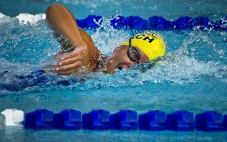 swimming-78112_1920